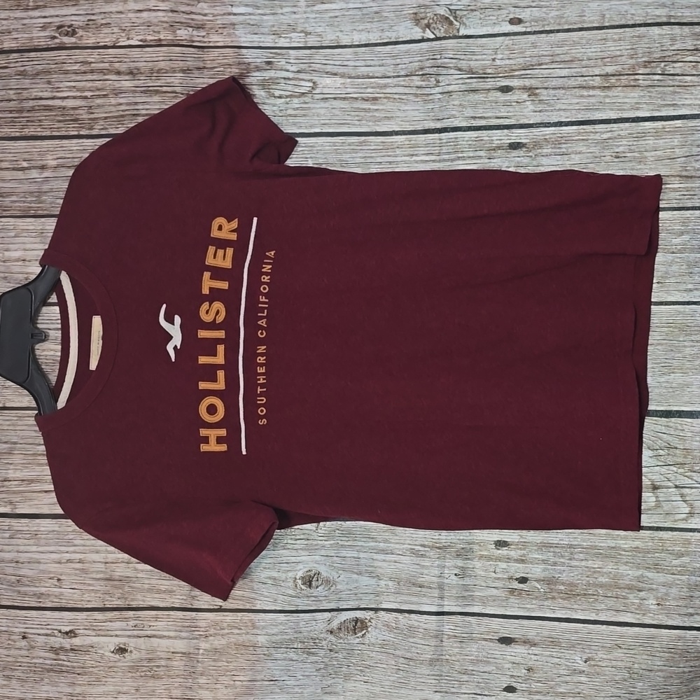 Men's hollister tee shirt